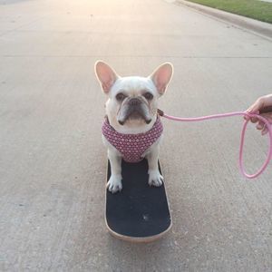 Meet your Posher, Carson